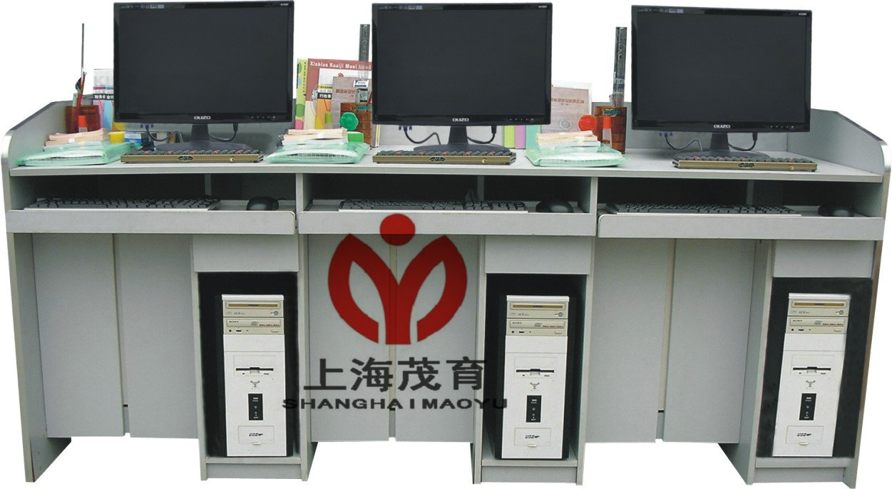 电算化财会模拟实