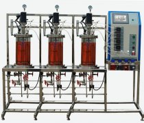 多联平行机械搅拌